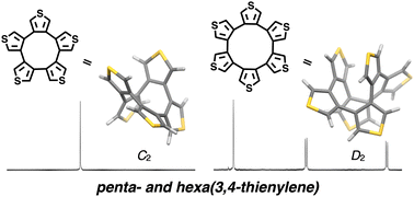 Graphical abstract: Synthesis of penta- and hexa(3,4-thienylene): size-dependent structural properties of cyclic oligothiophenes