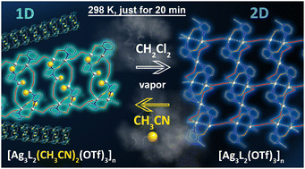 Graphical abstract: Fast and reversible solvent-vapor-induced 1D to 2D transformation in emissive Ag(i)-organic networks