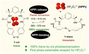 Graphical abstract: Photo-controllable binding and release of HP2O73− using an azobenzene based smart macrocycle