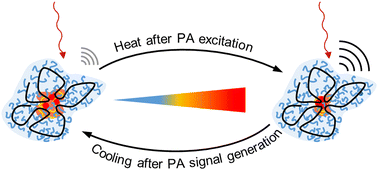 Graphical abstract: Thermoresponsive swelling of photoacoustic single-chain nanoparticles