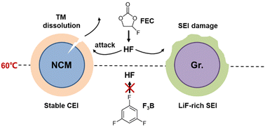 Graphical abstract: 1,3,5-Trifluorobenzene, an electrolyte additive with high thermal stability and superior film-forming properties for lithium-ion batteries