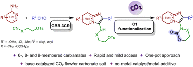 Graphical abstract: C1 functionalization of imidazo heterocycles via carbon dioxide fixation