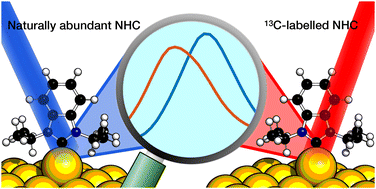 Graphical abstract: Seeking a Au–C stretch on gold nanoparticles with 13C-labeled N-heterocyclic carbenes