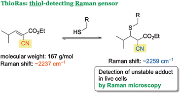 Graphical abstract: Ratiometric analysis of reversible thia-Michael reactions using nitrile-tagged molecules by Raman microscopy