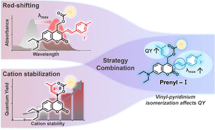 Graphical abstract: Cation delocalization and photo-isomerization enhance the uncaging quantum yield of a photocleavable protecting group