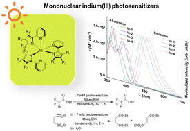 Graphical abstract: Mononuclear indium(iii) photosensitizers for photo-dehalogenation and olefin reduction