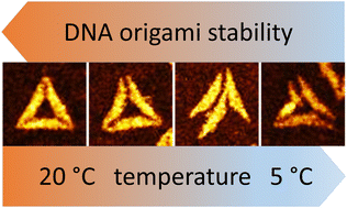 Graphical abstract: Cold denaturation of DNA origami nanostructures