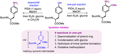 Graphical abstract: Metal-free functionalization of tyrosine residues in short peptides and study of the morphological alterations