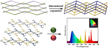 Graphical abstract: Dimensional expansion of 1D zigzag chains to a 2D two-fold interpenetrated metal–organic framework for adsorption of lanthanide cations and white light emission