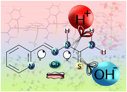 Graphical abstract: Perchlorate-induced structural diversity in thiosemicarbazone copper(ii) complexes provides insights to understand the reactivity in acidic and basic media