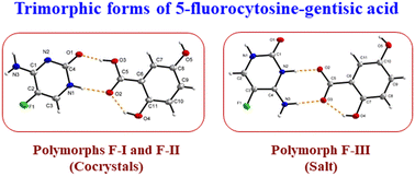 Graphical abstract: Trimorphic forms of 5-fluorocytosine–gentisic acid with enhanced hydration stability