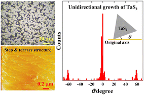 Graphical abstract: Unidirectional growth of epitaxial tantalum disulfide triangle crystals grown on sapphire by chemical vapour deposition with a separate-flow system