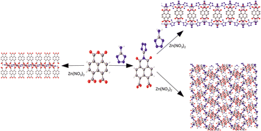 Graphical abstract: Naphthalene-1,8-dicarboxylate based zinc coordination polymers: a photophysical study