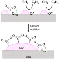 Graphical abstract: Surface basicity controls C–C coupling rates during carbon dioxide-assisted methane coupling over bifunctional Ca/ZnO catalysts