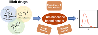 Graphical abstract: Luminescence-based detection and identification of illicit drugs
