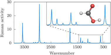 Graphical abstract: Vibrational infrared and Raman spectra of HCOOH from variational computations