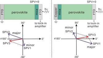 Graphical abstract: Exploring charge behavior at the terminal surface and charge separation interface of organo-lead perovskite using in situ surface photovoltage spectroscopy