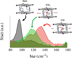 Graphical abstract: CO and CO2 adsorption mechanism in Fe(pz)[Pt(CN)4] probed by neutron scattering and density-functional theory calculations