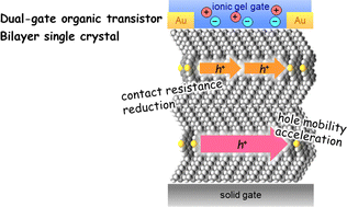 Graphical abstract: Individual and synergetic charge transport properties at the solid and electrolyte interfaces of a single ultrathin single crystal of organic semiconductors