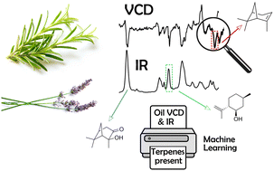 Graphical abstract: Pushing the boundaries of VCD spectroscopy in natural product chemistry