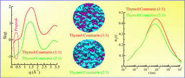 Graphical abstract: Origin of structural and dynamic heterogeneity in thymol and coumarin-based hydrophobic deep eutectic solvents as revealed by molecular dynamics