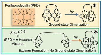 Graphical abstract: Intramolecular dimer formation reveals anomalous solvation within fluorous solvent perfluorodecalin