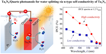Graphical abstract: Physicochemical insights into semiconductor properties of a semitransparent tantalum nitride photoanode for solar water splitting