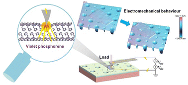 Graphical abstract: Electromechanical behaviour of violet phosphorene nanoflakes