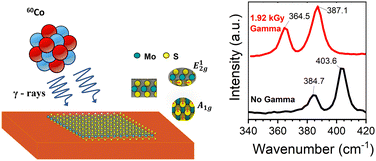 Graphical abstract: Effect of gamma irradiation on the physical properties of MoS2 monolayer