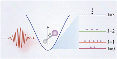 Graphical abstract: Quantum control of field-free molecular orientation