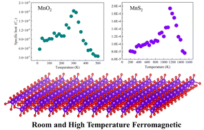 Graphical abstract: First-principles predictions of room-temperature ferromagnetism in orthorhombic MnX2 (X = O, S) monolayers