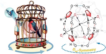 Graphical abstract: Selective confinement of potassium, rubidium, or caesium ions in a non-covalent hydroxyproline octamer cage stabilized by cis-hydroxyl locks