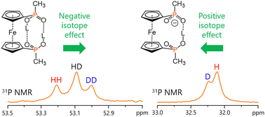 Graphical abstract: Evidence of extremely short hydrogen bond in the homoconjugated ferrocene-1,1′-diyl-bisphosphinic acid anion: sign change of the H/D isotope effect on the 31P NMR chemical shift