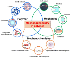 Graphical abstract: Polymer mechanochemistry: from single molecule to bulk material