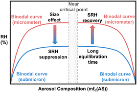 Graphical abstract: Experimental phase diagram and its temporal evolution for submicron 2-methylglutaric acid and ammonium sulfate aerosol particles