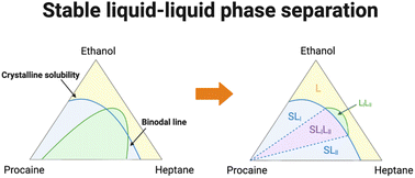 Graphical abstract: Complex oiling-out behavior of procaine with stable and metastable liquid phases