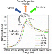 Graphical abstract: XANES analysis of phosphate glasses melted with Tb4O7 and SnO: evaluating the impact of valence states on structural, thermal, and luminescent properties
