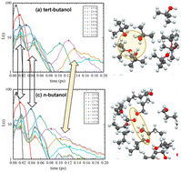 Graphical abstract: Comment on “Universal features in the lifetime distribution of clusters in hydrogen-bonding liquids” by I. Jukić, M. Požar, B. Lovrinčević and A. Perera, Phys. Chem. Chem. Phys., 2021, 23, 19537