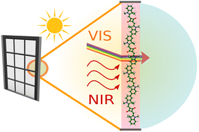 Graphical abstract: Design of J-aggregates-like oligomers built from squaraine dyes exhibiting transparency in the visible regime and high fluorescence quantum yield in the NIR region