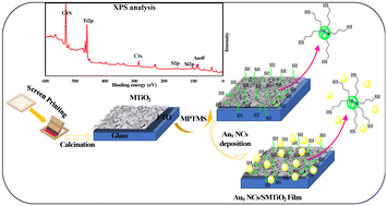 Graphical abstract: Au9 nanocluster adsorption and agglomeration control through sulfur modification of mesoporous TiO2