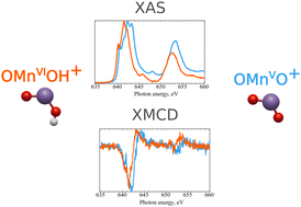 Graphical abstract: Direct spectroscopic evidence for the high-spin state of dioxidomanganese(v)