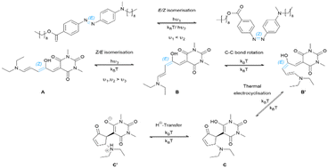 Graphical abstract: Characteristics and long-term kinetics of an azobenzene derivative and a donor–acceptor Stenhouse adduct as orthogonal photoswitches