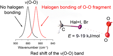 Graphical abstract: Dioxygen–halogen bonding exemplified by crystalline peroxosolvates of N,N′-bis(haloacetyl) bispidines
