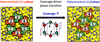 Graphical abstract: Transition mechanism of the coverage-dependent polymorphism of self-assembled melamine nanostructures on Au(111)