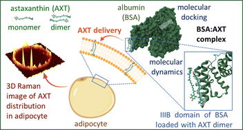 Graphical abstract: Efficient delivery of carotenoids to adipocytes with albumin