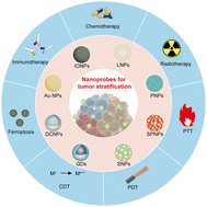Graphical abstract: Nanoprobe-based molecular imaging for tumor stratification