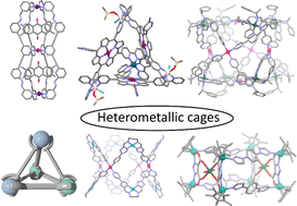 Graphical abstract: Heterometallic cages: synthesis and applications