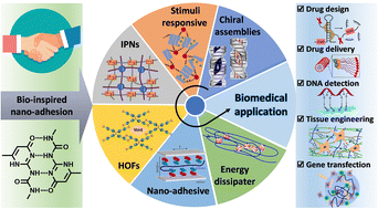 Graphical abstract: Multiple hydrogen bonding driven supramolecular architectures and their biomedical applications