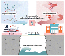 Graphical abstract: Glycan-specific molecularly imprinted polymers towards cancer diagnostics: merits, applications, and future perspectives