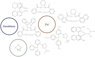 Graphical abstract: Pd-Catalysed asymmetric allylic alkylation of heterocycles: a user's guide